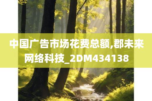 中国广告市场花费总额,郡未来网络科技_2DM434138