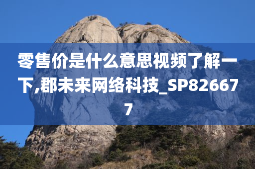 零售价是什么意思视频了解一下,郡未来网络科技_SP826677