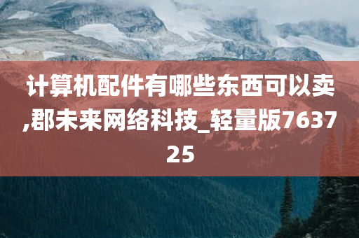 计算机配件有哪些东西可以卖,郡未来网络科技_轻量版763725