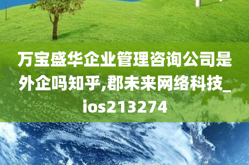 万宝盛华企业管理咨询公司是外企吗知乎,郡未来网络科技_ios213274