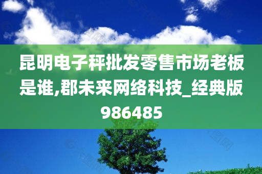 昆明电子秤批发零售市场老板是谁,郡未来网络科技_经典版986485