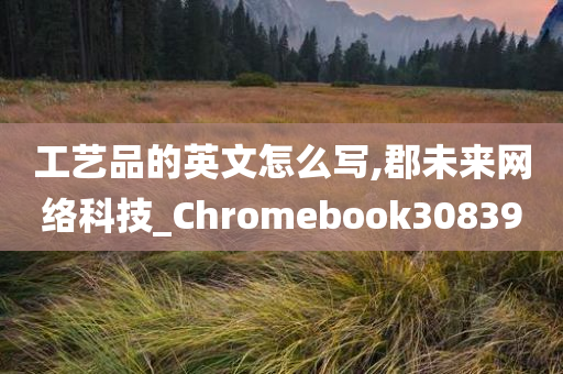 工艺品的英文怎么写,郡未来网络科技_Chromebook308390