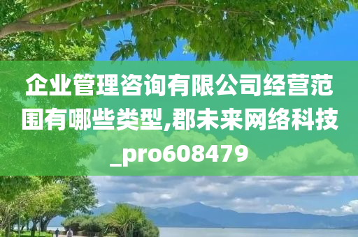 企业管理咨询有限公司经营范围有哪些类型,郡未来网络科技_pro608479