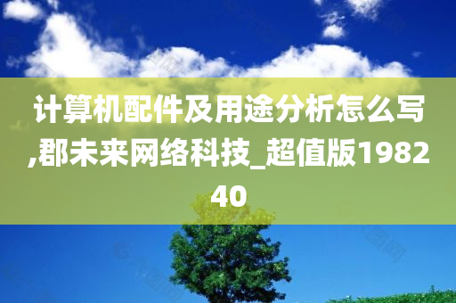 计算机配件及用途分析怎么写,郡未来网络科技_超值版198240