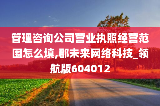 管理咨询公司营业执照经营范围怎么填,郡未来网络科技_领航版604012