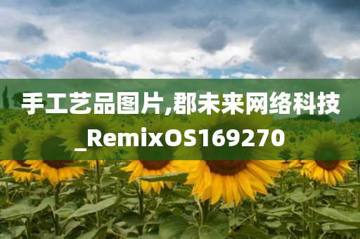 手工艺品图片,郡未来网络科技_RemixOS169270