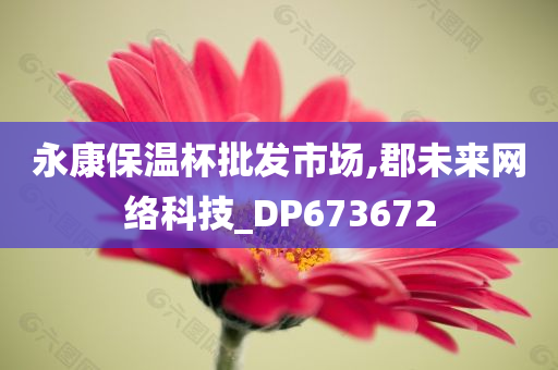 永康保温杯批发市场,郡未来网络科技_DP673672