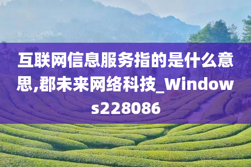 互联网信息服务指的是什么意思,郡未来网络科技_Windows228086