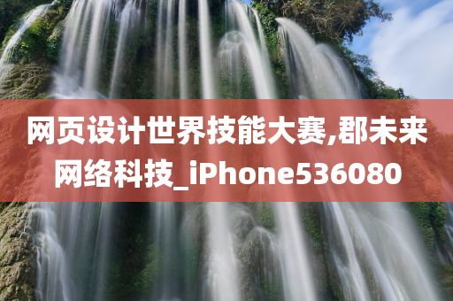 网页设计世界技能大赛,郡未来网络科技_iPhone536080