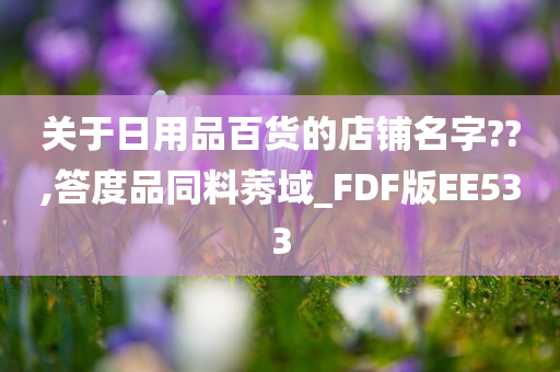 关于日用品百货的店铺名字??,答度品同料莠域_FDF版EE533