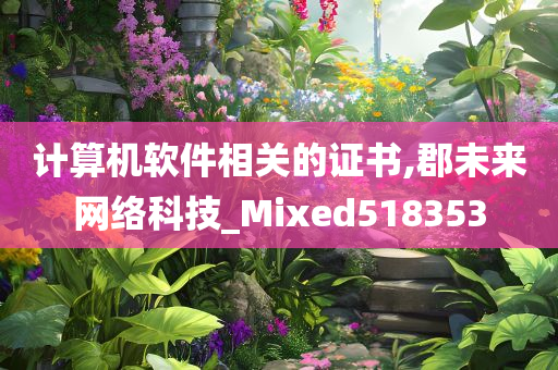 计算机软件相关的证书,郡未来网络科技_Mixed518353