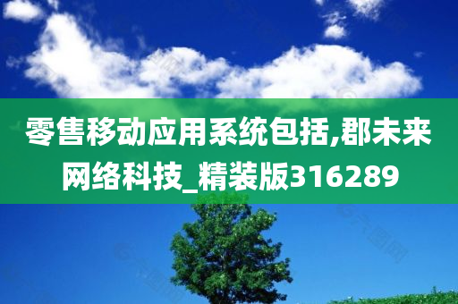 零售移动应用系统包括,郡未来网络科技_精装版316289