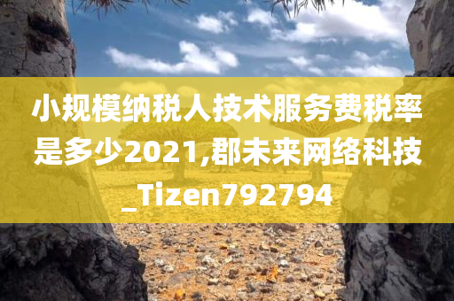 小规模纳税人技术服务费税率是多少2021,郡未来网络科技_Tizen792794