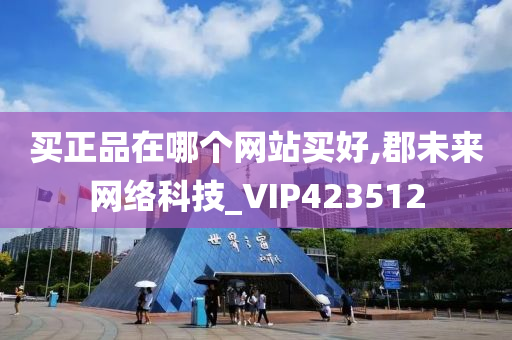 买正品在哪个网站买好,郡未来网络科技_VIP423512