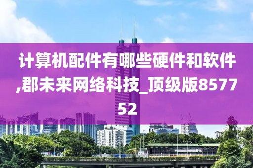 计算机配件有哪些硬件和软件,郡未来网络科技_顶级版857752