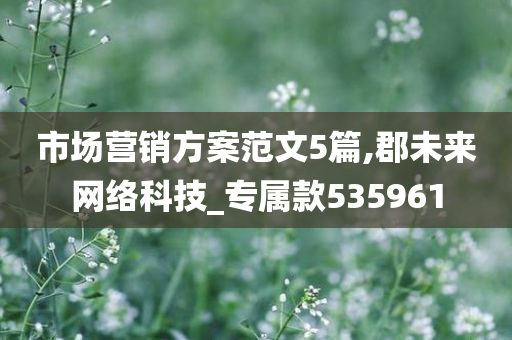 市场营销方案范文5篇,郡未来网络科技_专属款535961