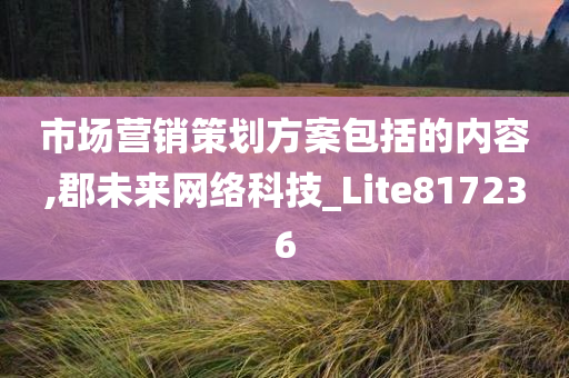 市场营销策划方案包括的内容,郡未来网络科技_Lite817236