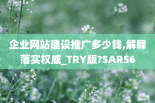 企业网站建设推广多少钱,解释落实权威_TRY版?SAR56