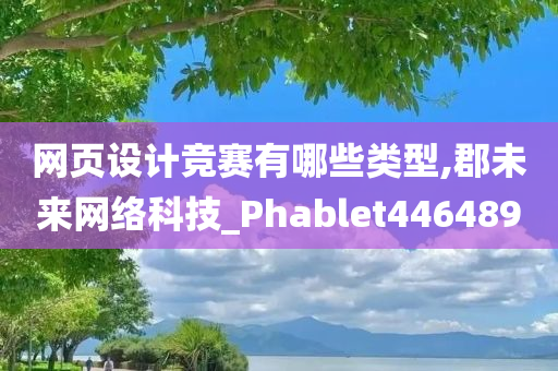 网页设计竞赛有哪些类型,郡未来网络科技_Phablet446489