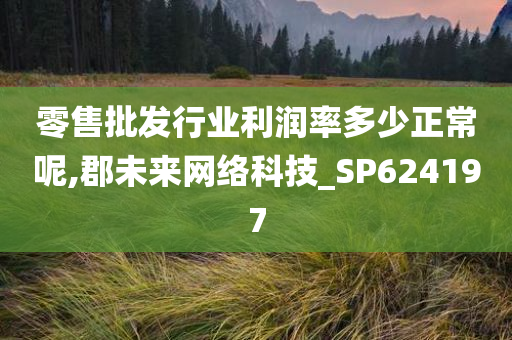 零售批发行业利润率多少正常呢,郡未来网络科技_SP624197