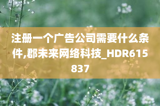 注册一个广告公司需要什么条件,郡未来网络科技_HDR615837