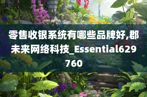 零售收银系统有哪些品牌好,郡未来网络科技_Essential629760