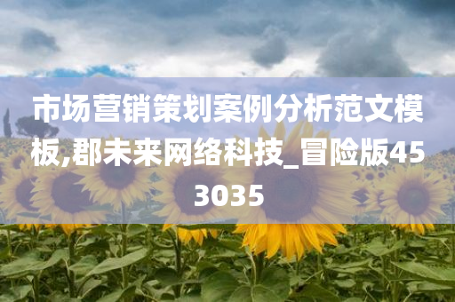 市场营销策划案例分析范文模板,郡未来网络科技_冒险版453035