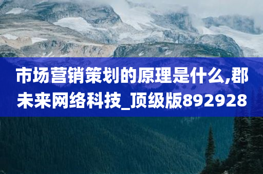 市场营销策划的原理是什么,郡未来网络科技_顶级版892928