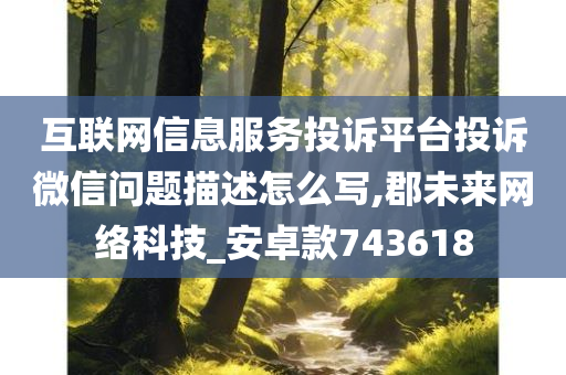 互联网信息服务投诉平台投诉微信问题描述怎么写,郡未来网络科技_安卓款743618