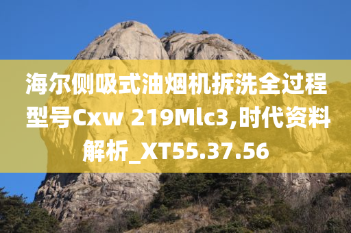 海尔侧吸式油烟机拆洗全过程 型号Cxw 219Mlc3,时代资料解析_XT55.37.56