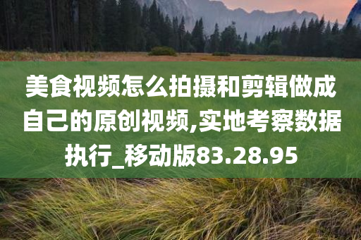 美食视频怎么拍摄和剪辑做成自己的原创视频,实地考察数据执行_移动版83.28.95