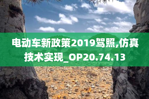 电动车新政策2019驾照,仿真技术实现_OP20.74.13