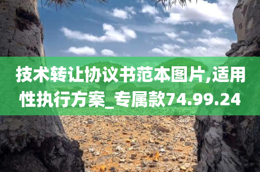 技术转让协议书范本图片,适用性执行方案_专属款74.99.24