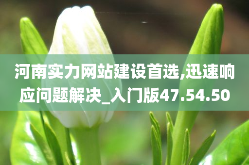 河南实力网站建设首选,迅速响应问题解决_入门版47.54.50