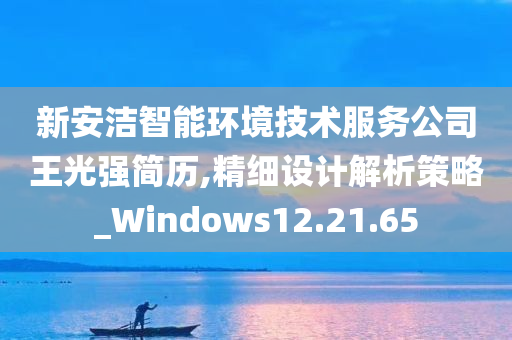 新安洁智能环境技术服务公司王光强简历,精细设计解析策略_Windows12.21.65