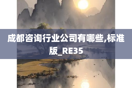 成都咨询行业公司有哪些,标准版_RE35