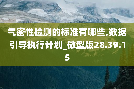 气密性检测的标准有哪些,数据引导执行计划_微型版28.39.15