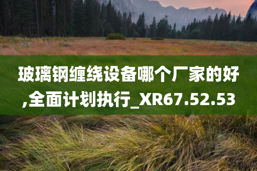 玻璃钢缠绕设备哪个厂家的好,全面计划执行_XR67.52.53