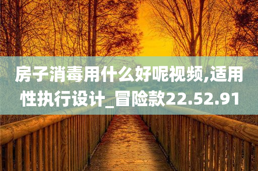 房子消毒用什么好呢视频,适用性执行设计_冒险款22.52.91