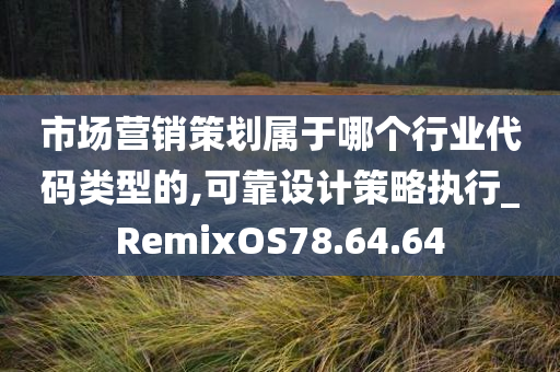 市场营销策划属于哪个行业代码类型的,可靠设计策略执行_RemixOS78.64.64