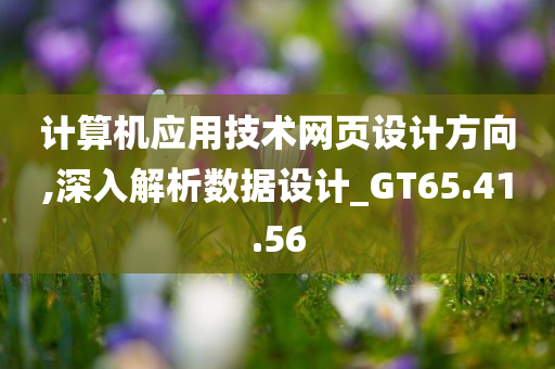 计算机应用技术网页设计方向,深入解析数据设计_GT65.41.56