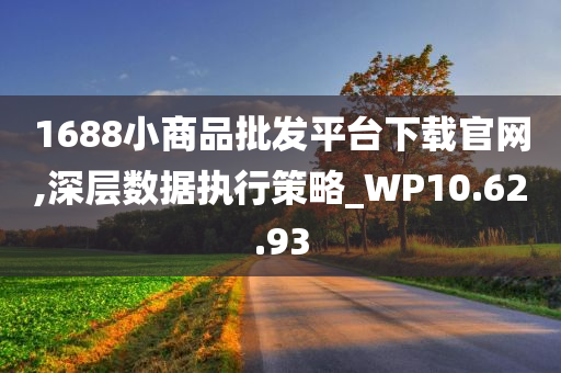 1688小商品批发平台下载官网,深层数据执行策略_WP10.62.93