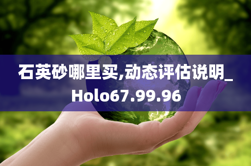 石英砂哪里买,动态评估说明_Holo67.99.96