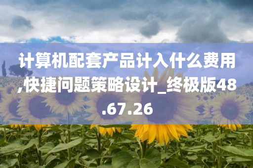 计算机配套产品计入什么费用,快捷问题策略设计_终极版48.67.26