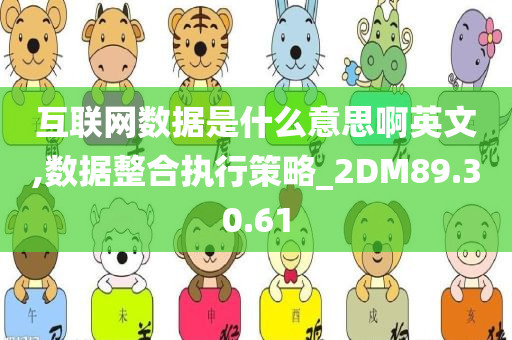 互联网数据是什么意思啊英文,数据整合执行策略_2DM89.30.61