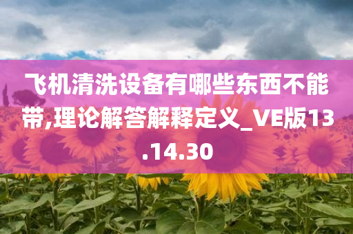 飞机清洗设备有哪些东西不能带,理论解答解释定义_VE版13.14.30