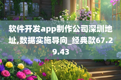 软件开发app制作公司深圳地址,数据实施导向_经典款67.29.43