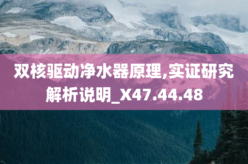 双核驱动净水器原理,实证研究解析说明_X47.44.48