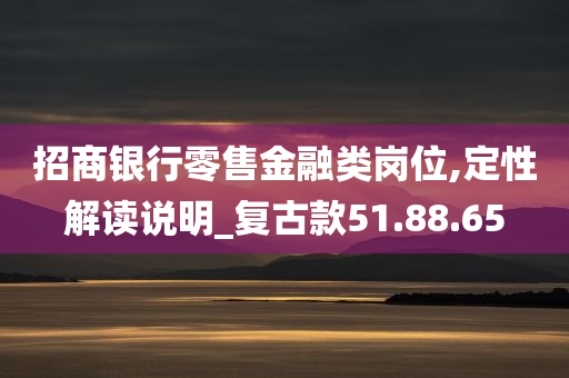 招商银行零售金融类岗位,定性解读说明_复古款51.88.65