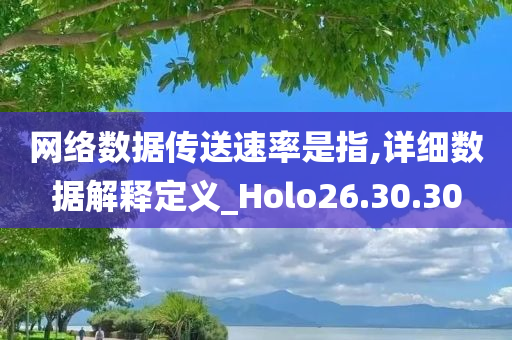 网络数据传送速率是指,详细数据解释定义_Holo26.30.30